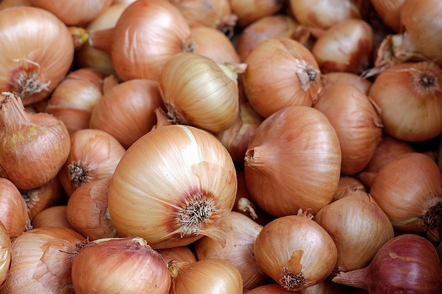 Cebolla Vidalia