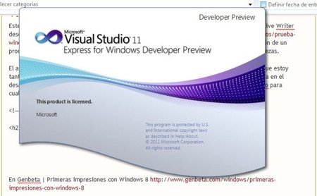 Proyecto Web con Visual Studio 11 Developer Preview