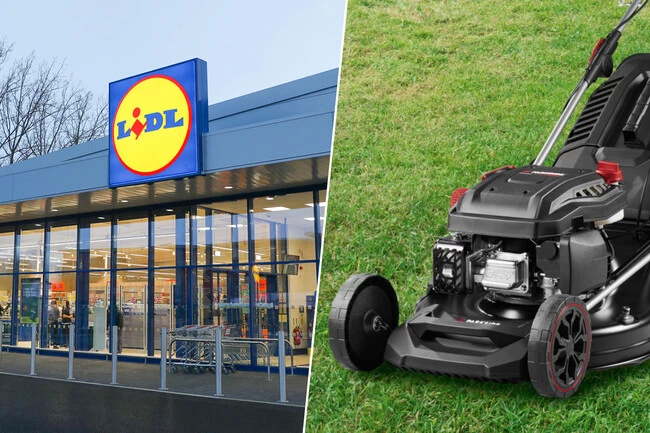 Cortacesped Y Tienda Lidl
