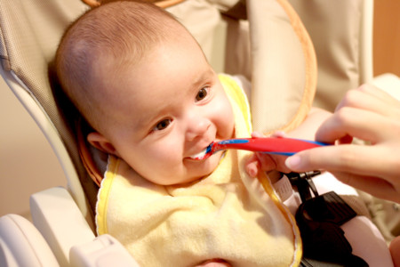 Dar papilla para que engorden