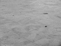 Dale al cliente lo contrario de lo que quiere