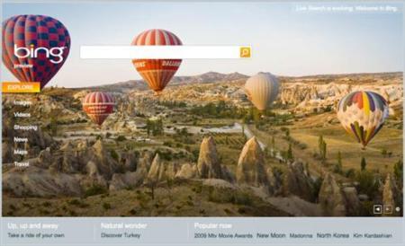 Bing pierde popularidad después del hype inicial