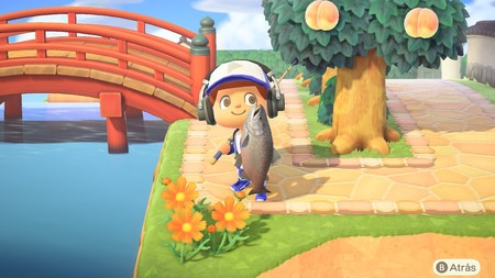 Animal Crossing: New Horizons: lista con todos los peces de septiembre