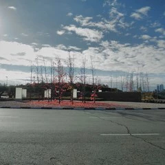 Foto 13 de 39 de la galería fotos-tomadas-con-el-nokia-2-1 en Xataka Móvil