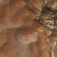 Ya se especula hasta con suelo marciano: el trozo más grande de Marte en la Tierra acaba de venderse por 5,3 millones de dólares