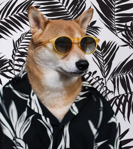 En el nuevo año chino dedicado al perro, recordamos los mejores looks de nuestro favorito: MenswearDog