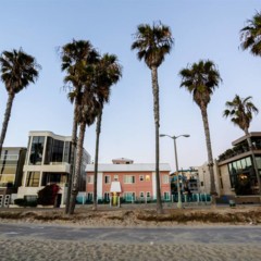 Foto 35 de 39 de la galería venice-on-the-beach en Trendencias Lifestyle