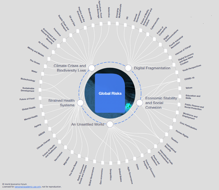 Global Risks