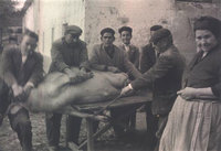 Curioso producto turístico: matanza de cerdos en Extremadura