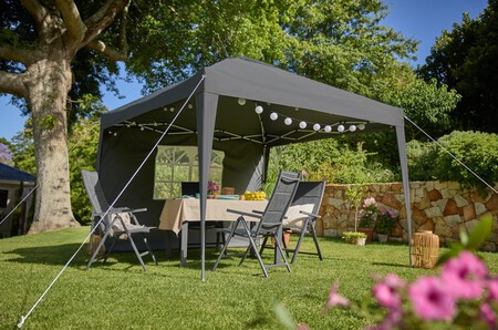 Carpa Lidl