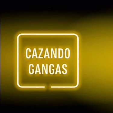 Cazando Gangas 6