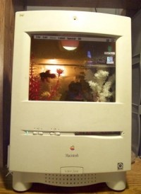 Macquariums: transformaciones de Macs en orginales acuarios