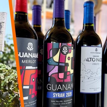Pocos los conocen, pero estos son los vinos de Guanajuato que debes probar esta Navidad y Año Nuevo