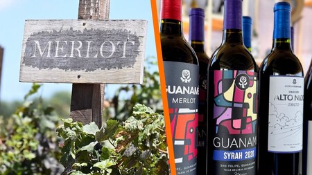 Pocos los conocen, pero estos son los vinos de Guanajuato que debes probar esta Navidad y Año Nuevo