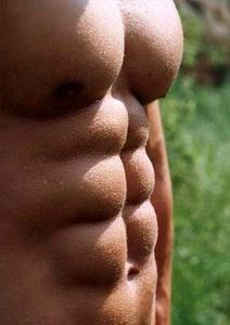 abdominals