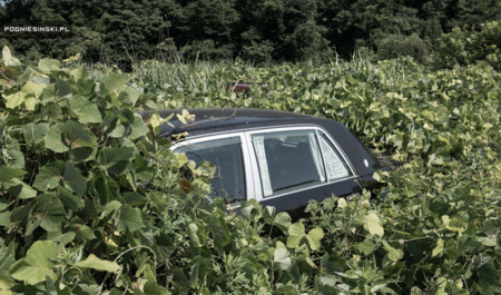 En el paisaje postapocalíptico de Fukushima también quedaron vehículos abandondonados