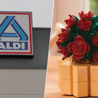 La semana que viene llegará a Aldi el set de plantas para decorar la casa. Se construye como una figura de Lego 
