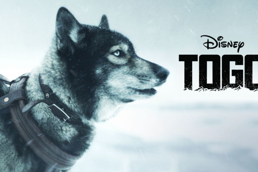 Los 15 mejores películas y series de Disney Plus para disfrutar el fin ...