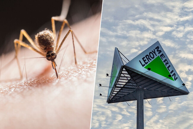 Lampara Ahuyentadora De Insectos Leroy Merlin