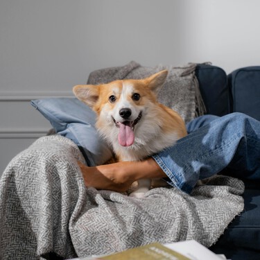 Si tu sofá es una bola de pelo, este aspirador para casas con mascotas es la solución y ahora está a precio de Black Friday