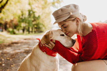 Perro Adorable