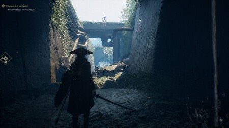 Análisis de Beast of Reincarnation