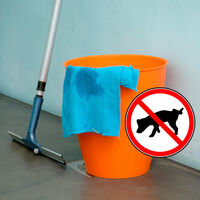 Mucha gente utiliza cloro para limpiar la pipí de sus mascotas, pero es un error: esto dice la ciencia 