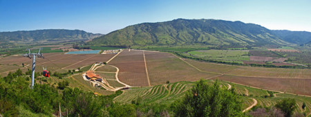Sta Cruz