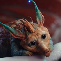 La película que es como "Zelda con Star Wars" y que el público ignoró en cines: hoy la puedes ver en Prime Video