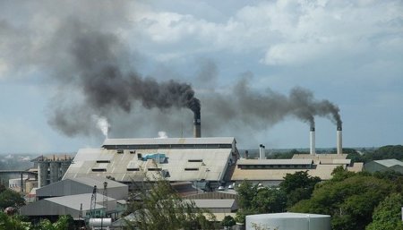 Contaminantes almacenados en la grasa pueden desencadenar diabetes