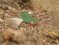Agudizando el ingenio, menos es más