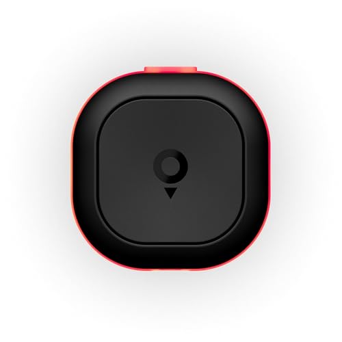 Tom de TomTom Asistente de conducción 