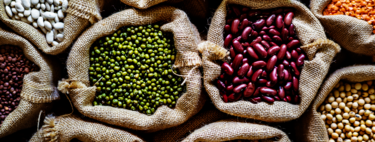 La proteína vegetal ha pasado de alternativa a protagonista: así está cambiando la pirámide alimentaria