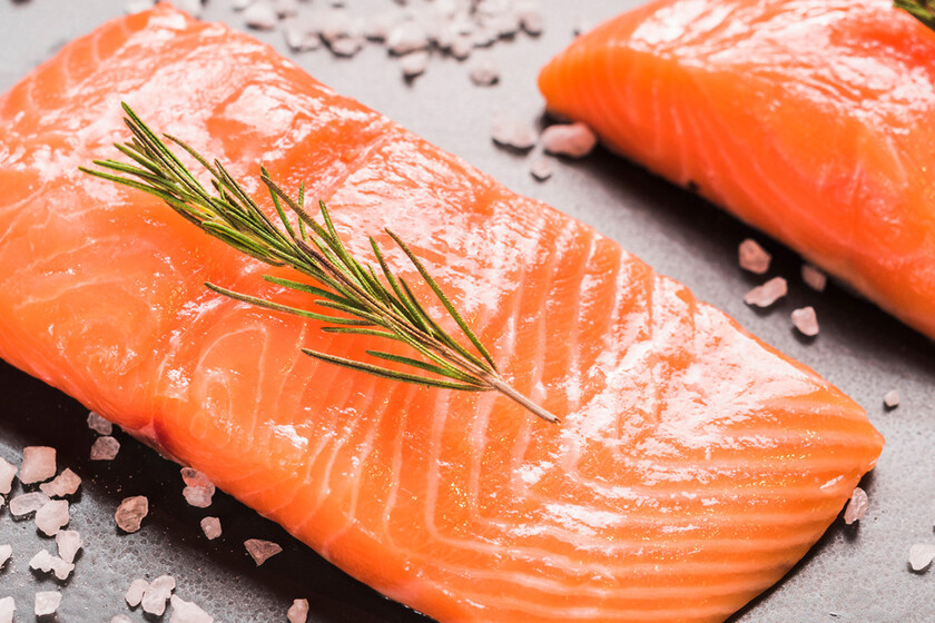 Salmon