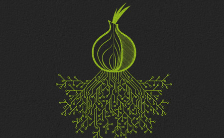 Tor lleva todo 2020 luchando contra cibercriminales que se están apoderando de la red para interceptar el tráfico de los usuarios
