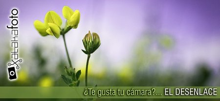 ¿Te gusta tu cámara? El desenlace
