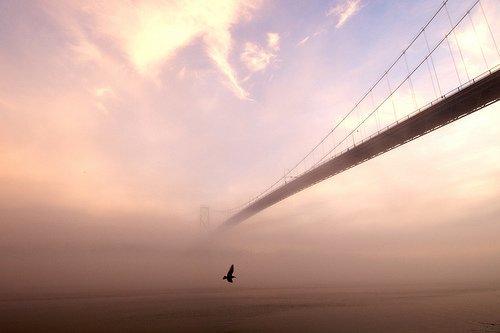 Tendiendo puentes [por Carlos Sánchez Almeida]