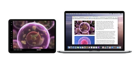 C8dd123f Db15 45d6 931b 70f7001a6bcb