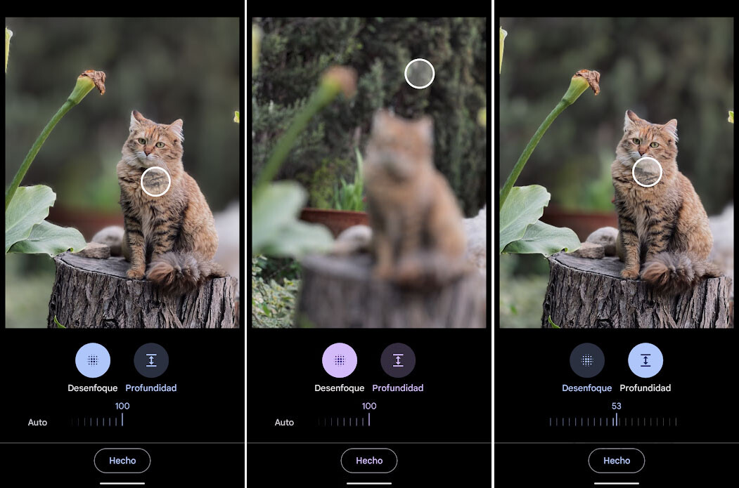 Cómo desenfocar el fondo de una foto con Google Fotos