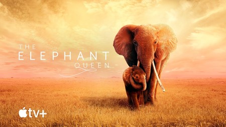 Apple comparte un primer trailer de 'The Elephant Queen': llegará a Apple TV+ el 1 de noviembre