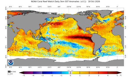 Ssta Daily Current 1 700x413
