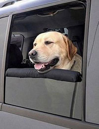 Almohadilla de ventana para perros