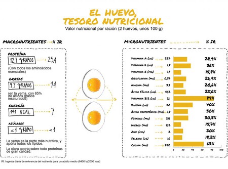 Nutricion Huevo