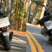 Tocando rodilla con una trail y un pitbull en la maleta. La peligrosa moda motera de viajar con perro 