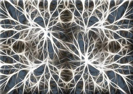 La parte de tu cerebro que produce tu optimismo