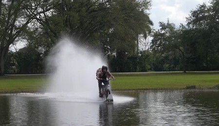 Cocodrilo Moto 1 2024