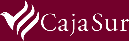 Cajasur se enfrenta al día D: fusión o intervención