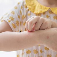 Printa, salva, anota e compartilha: pediatra mostra como são as diferentes picadas para identificar em crianças e o que fazer
 