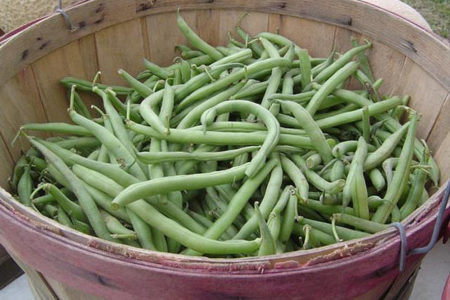 Judías: excelente fuente de calcio en el mundo vegetal