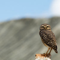 ¿Cómo crear un concurso en Instagram? 